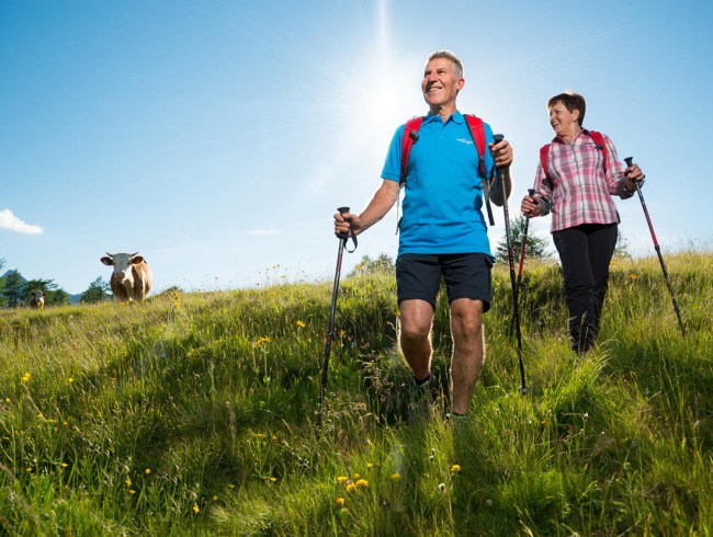 Wanderurlaub in St.Johann-Alpendorf © TVB St. Johann im Pongau_Mirja Geh